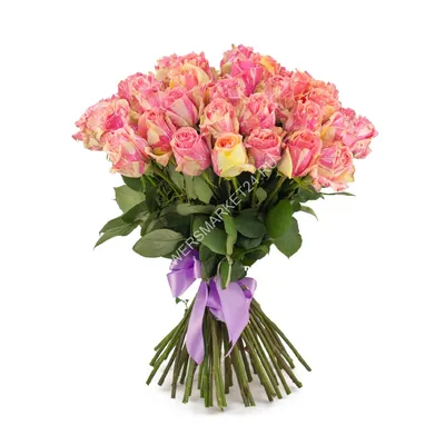 Кустовая роза «Фиеста» (Fiesta) - 250 руб, купить в Воронеже в магазине  «Цветы Экспресс»