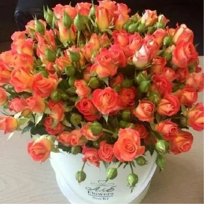 Букет из роз с доставкой © Цветы60.рф