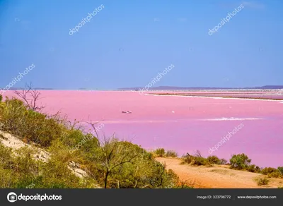 ⬇ Скачать картинки Hillier, стоковые фото Hillier в хорошем качестве |  Depositphotos