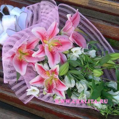 розовые лилии PNG , лилия клипарт, Лили, Цветы PNG картинки и пнг PSD  рисунок для бесплатной загрузки
