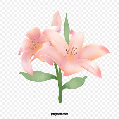 Лилия тигровая искусственная real-touch 90H бело-розовая (цветок D20см) -  Купить в интернет магазине КонвентАрт