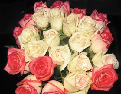 Фотографии букет Розы Белый Цветы 2304x1796