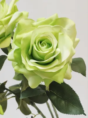Розы Искусственные цветы для интерьера дома офиса силиконовые цветы для  декора букет искусственный Reale Fiori 19345068 купить в интернет-магазине  Wildberries