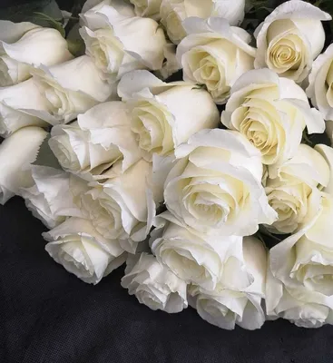 Белые розы дома - 61 фото