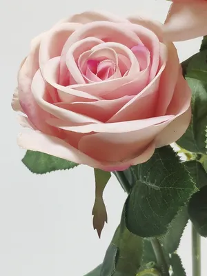 Роза розовая искусственная голландская декоративная цветы для декора  интерьера дома букет из 3 роз Reale Fiori 19346075 купить в  интернет-магазине Wildberries