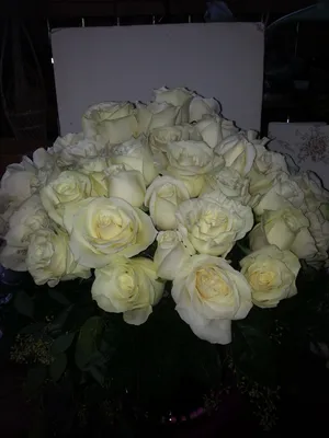 Simple and beautiful two dozen white roses in a vase. | Белые розы, Розы,  Цветочные букеты