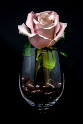 шоколадная роза шоколадный декор | Pink rose pictures, Pink flower photos,  Beautiful roses