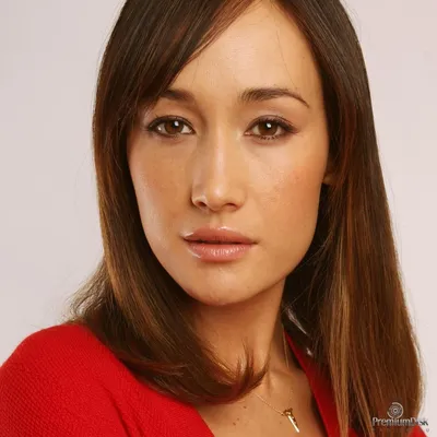 Обои Сериал, Фильмы, Мэгги Кью, главная актриса, Maggie Q, НИКИТА, NIKITA  картинки на рабочий стол, раздел фильмы - скачать