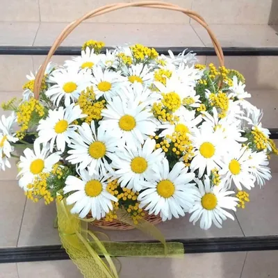 Крупные ромашки в корзине | Бесплатная доставка цветов по Москве