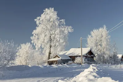 Русская зима в деревне. Морозный обзор нашего хутора