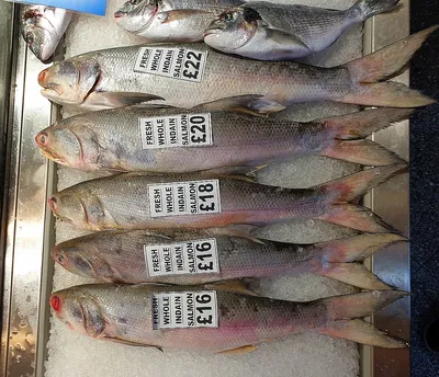 Рыба Морская Миля Каранкс филе замороженное ~ 500г - «Рыба-король с нежным,  не жирным мясом.» | отзывы