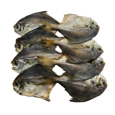 Снек рыбный пиранья (памп) — Рыбоеды