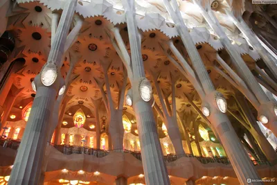 Испания, Барселона, Храм Святого Семейства / Саграда Фамилия / Basilica de  la sagrada Familia - «Не музей и не храм - Саграда Фамилия в Барселоне: что  нам покажут внутри культового туристического объекта