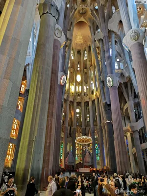 Испания, Барселона, Храм Святого Семейства / Саграда Фамилия / Basilica de  la sagrada Familia - «Одна из самых популярных достопримечательностей  Барселоны! Это стоит увидеть!» | отзывы