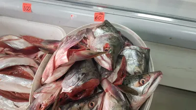 Рыбный четверг - покупаем уши от горбуши | КПРФ Сахалин