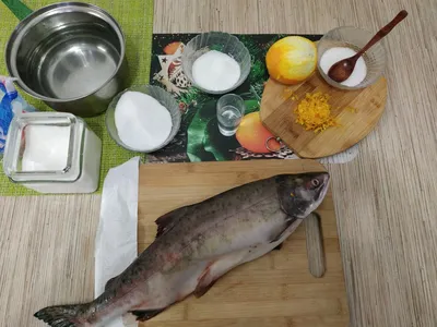 Семга (лосось атлантический): описание и фото, как ловить сёмгу