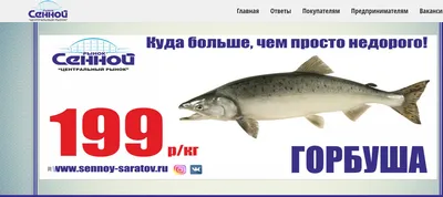 Вот это неожиданно!\": зимняя рыбалка порадовала сахалинцев горбушей -  Новости Сахалинской области - astv.ru