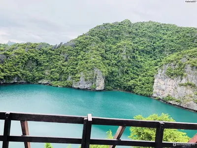 Таиланд, остров Самуи (Koh Samui) - «Время тут останавливается и кажется,  что мир- твоя устрица 🦪😂» | отзывы