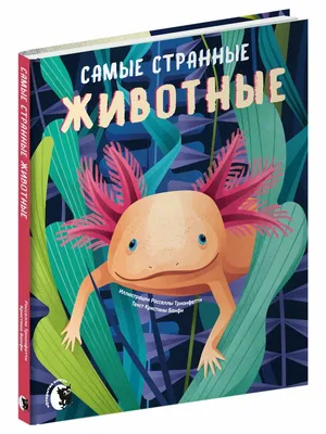 Самые странные животные. Открытая книга 9880058 купить в интернет-магазине  Wildberries