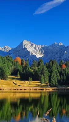 Обои Красивый пейзаж природы, горы, лес, озеро, отражение воды 2560x1440  QHD Изображение
