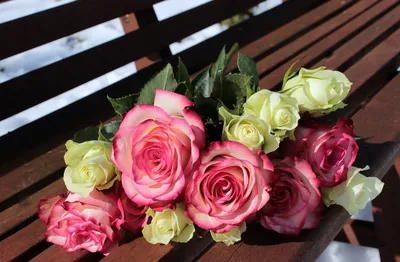 Самые красивые розы — в мире, фото, цветы, белые, сорта, красные, названия,  плетистые - 24СМИ