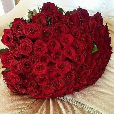 Самый красивый букет роз в мире - 60 фото