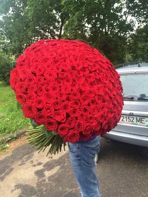 Самый большой букет роз в мире - 35 фото