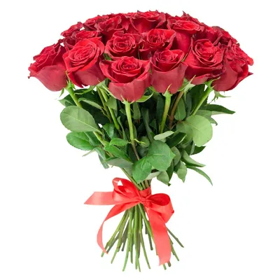 Алые розы (50 см) по цене 305 ₽ - купить в RoseMarkt с доставкой по  Санкт-Петербургу