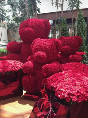 Самый большой букет роз в мире - 80 фото