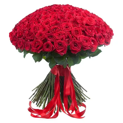 Букет из 201 красной розы Ты - мой мир!, Москва | Розы, Доставка цветов,  Ремесла