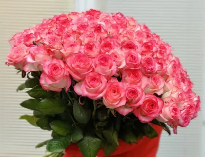 Букет из 101 розы ViaFlor – шикарный подарок и знак внимания и любви