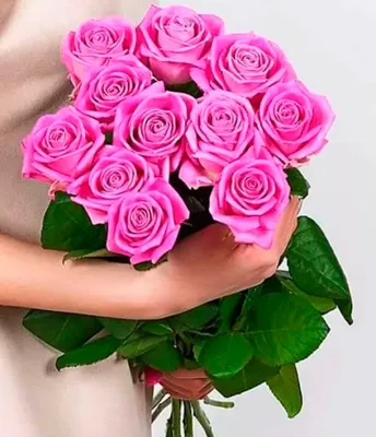 Букет из 11 розовых роз под ленту купить в Москве от 1\u0026nbsp;260 ₽ с  доставкой buket24delivery.ru