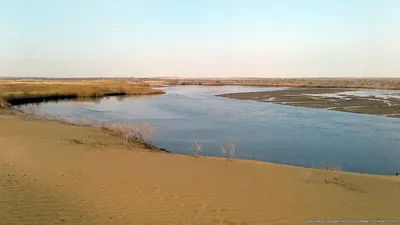 Бердымухамедов задумался о том, как использовать озеро в Каракумах -  Хроника Туркменистана
