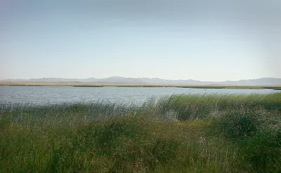 Озеро Сарыкамыш - 77 фото