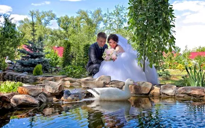 Как организовать свадьбу на природе - Hot Wedding Blog