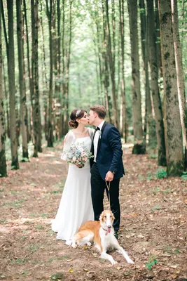 свадьба в лесу, свадебный, красивая свадьба, свадьба стиль, свадьба