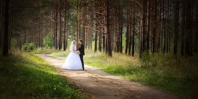 Свадебная фотосессия в лесу - Фотоагентство High Photo