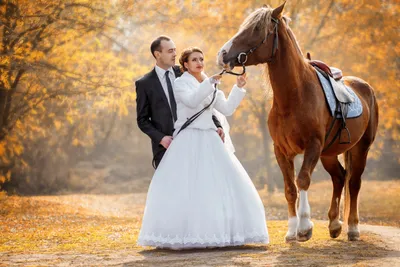 Свадьба на лошадях | Horses, Animals