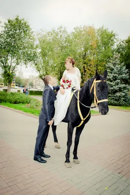 конная свадьба, свадьбу, свадьба на лошадях, свадебный, свадьба в москве,  Свадебный фотограф Москва