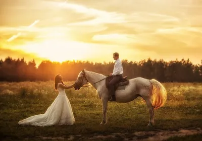 Свадебная фотосессия с лошадьми | Пляжные свадебные фотографии, Лошадь  свадьба, Свадебные портреты