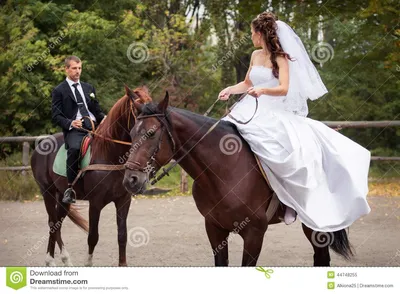 Пары свадьбы на лошадях стоковое изображение. изображение насчитывающей  пары - 44748255
