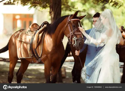 Невеста ласкает лошадь с женихом стоковое фото ©ivash 150948842