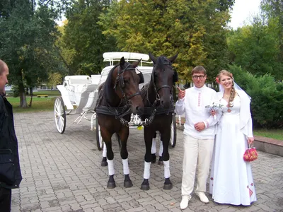 Свадьба на лошадях » Сайт о лошадях KoHuKu.ru