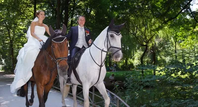 stallion, свадьба на лошадях, невеста в седле, девушки невеста на лошади,  свадебные фотографии, свадебная фотосессия, Свадебный фотограф Москва