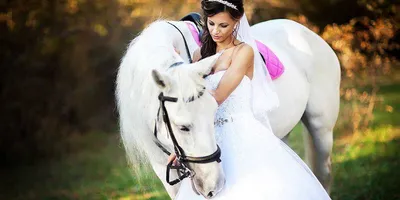 Фотографии молодая женщина Лошади жениха Невеста свадебные блондинки