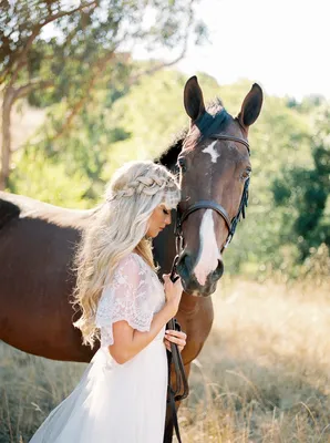 Лошади на свадьбе: какие роли они могут сыграть на торжестве | Wedding  Magazine