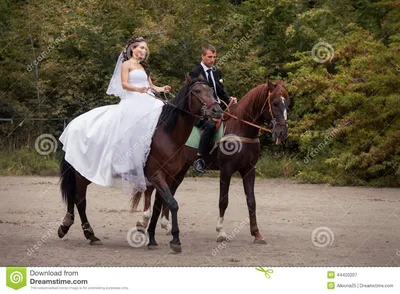 Пары свадьбы на лошадях стоковое изображение. изображение насчитывающей  влюбленность - 44420207