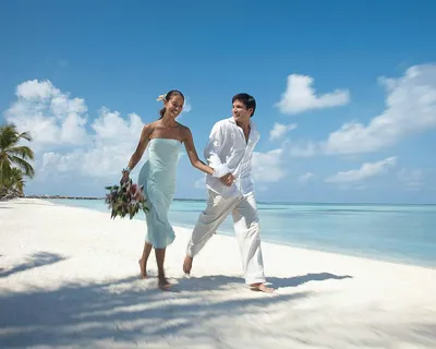 Свадьба на Мальдивах : свадебная церемония, свадебное путешествие