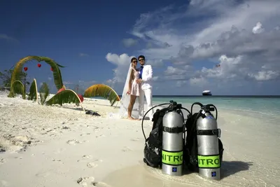 Организация свадьбы и медового месяца на Мальдивах. Отели и яхты. Цены  2016, фото, видео, отзывы