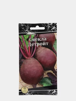 Свекла столовая Детройт (семена) за 49 ₽ купить в интернет-магазине  KazanExpress